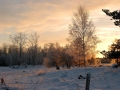 Vinter 1